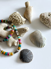 Rainbow Seashell Necklace