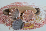 Scallop Seashell Hair Pin