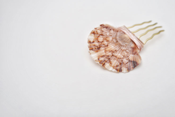 Scallop Seashell Hair Pin