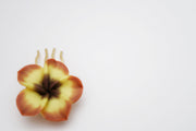 Tropical Flower Hair Pin