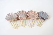 Scallop Seashell Hair Pin